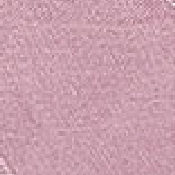 1 Lilac